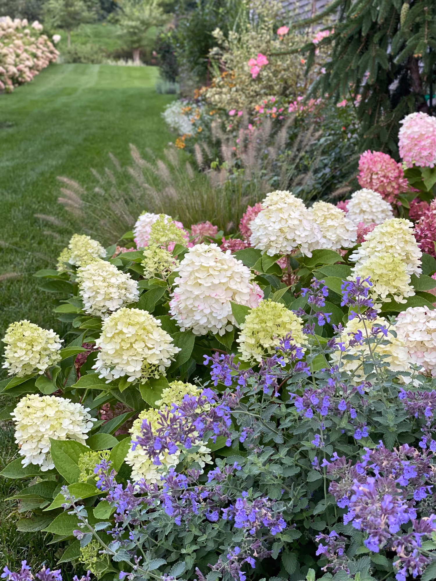 67ebfdd07bf29365e958c5ab_2021_5127