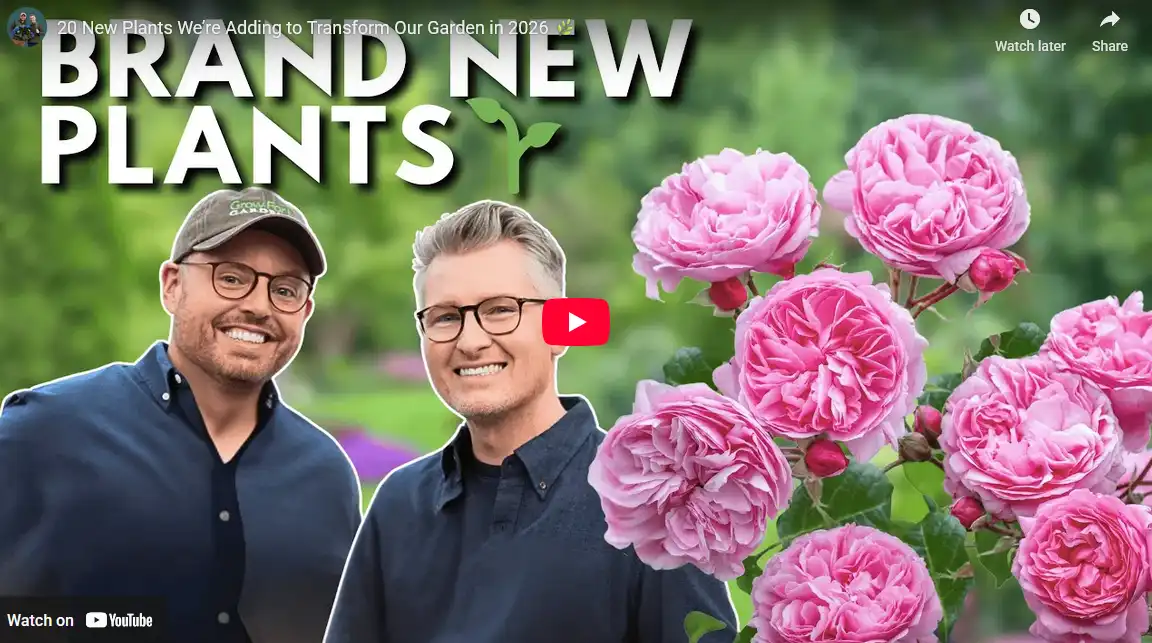 blog-20-new-plants-for-a-zone-6a-garden