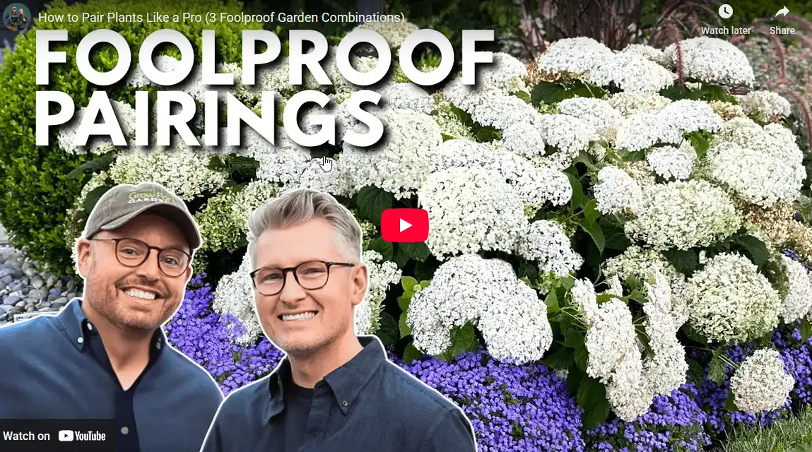 blog-foolproof-pairings