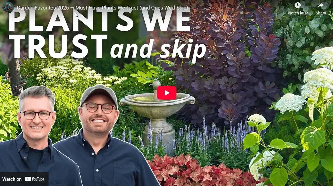 blog-plants-we-trust-and-skip