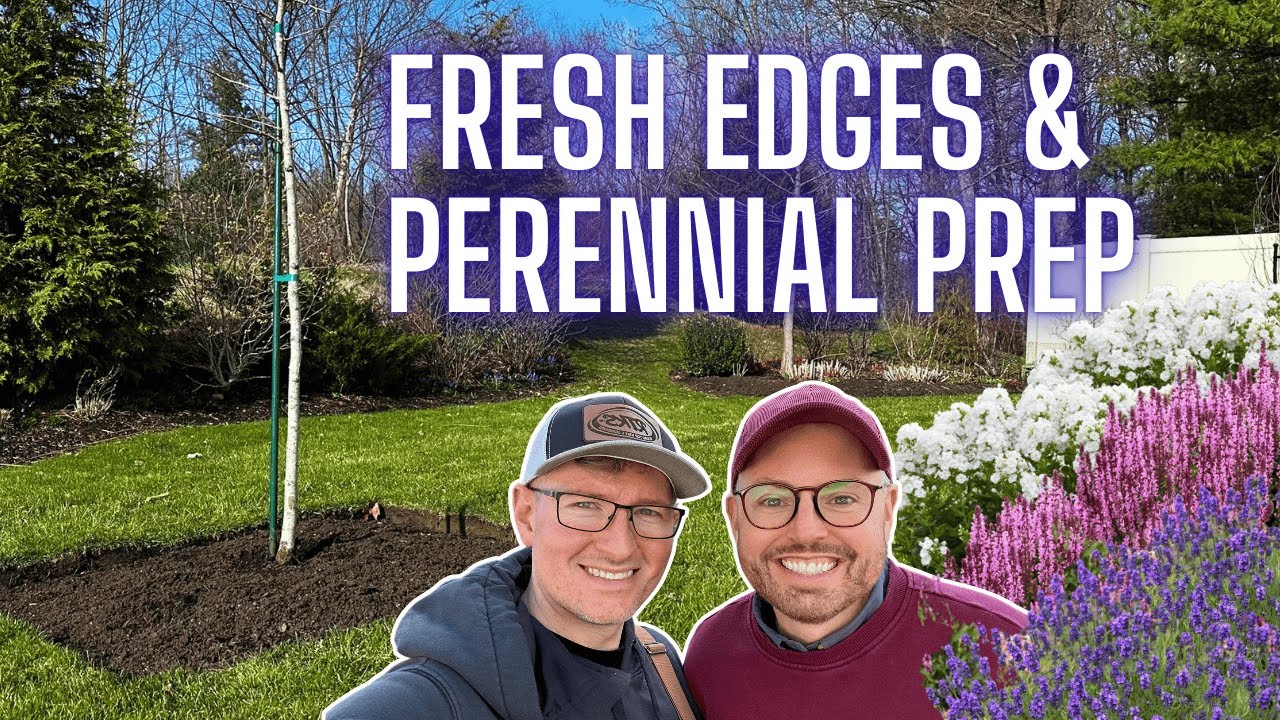 YoutubeThumbnailDownload