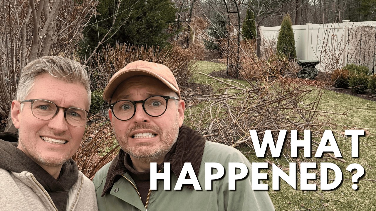 YoutubeThumbnailDownload