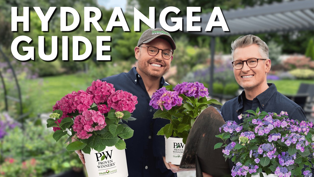 YoutubeThumbnailDownload