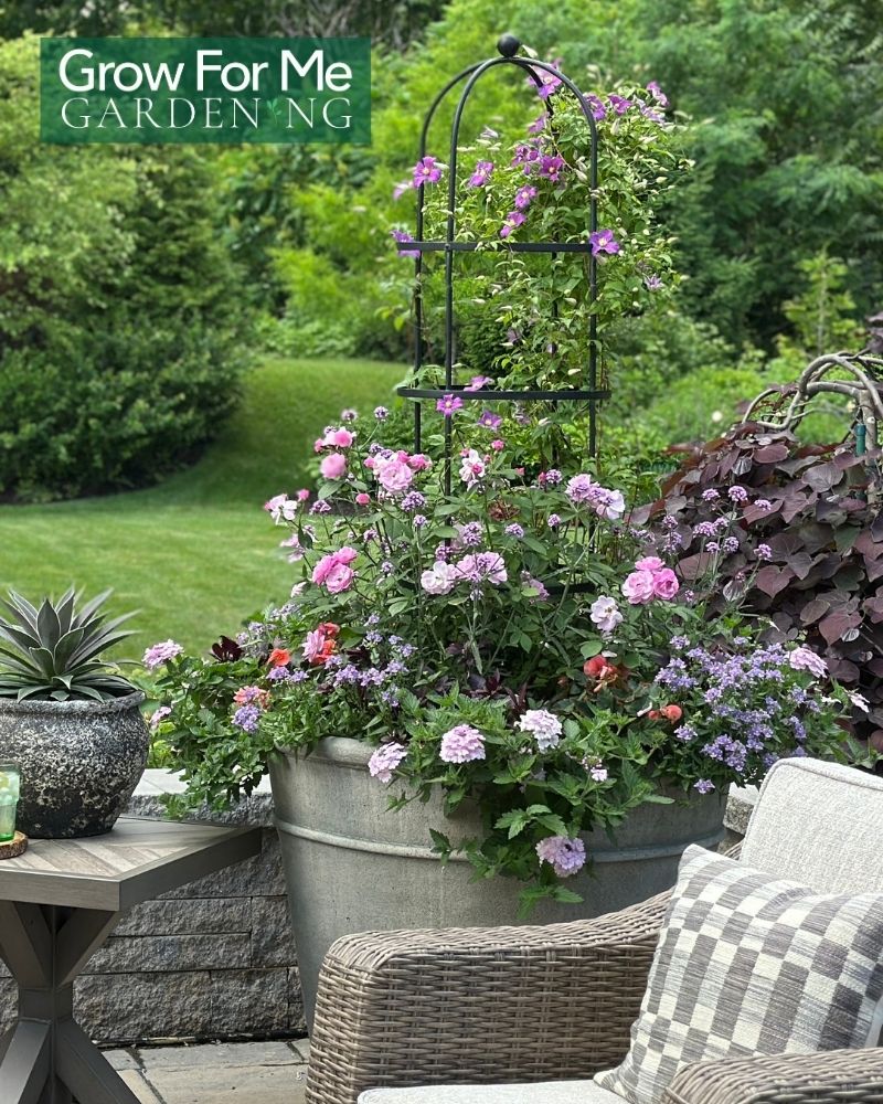 garden must haves plant trellis