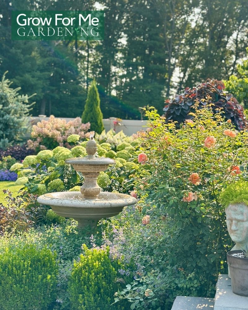 garden must haves fountain