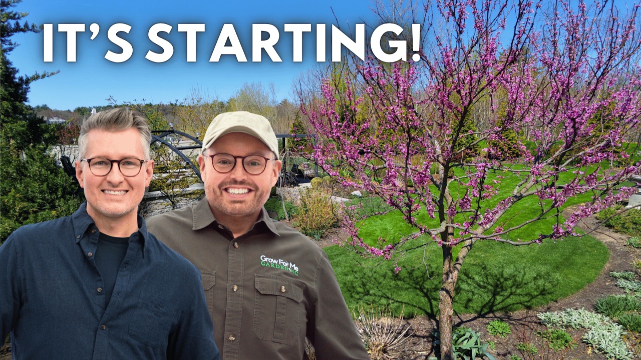 April Garden Tour Zone 6A