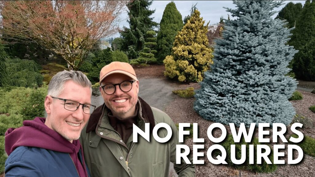 Evergreen trees in the background