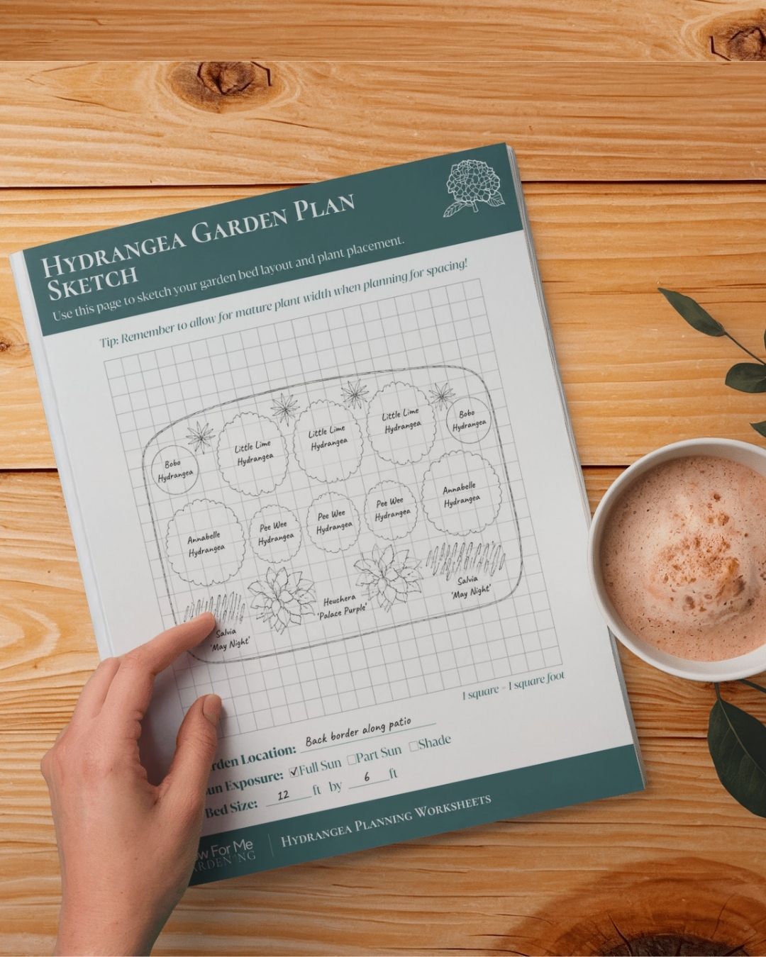 hydrangea planning worksheets
