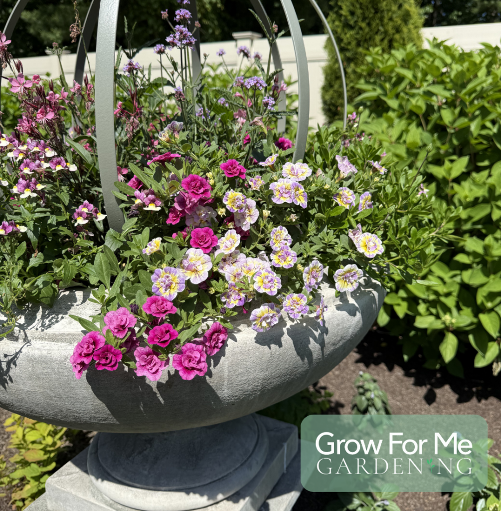 Full Sun Container