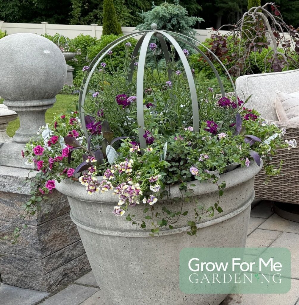 Full Sun Planter