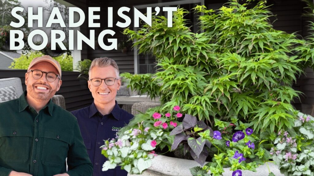 Part Shade Container Garden Ideas