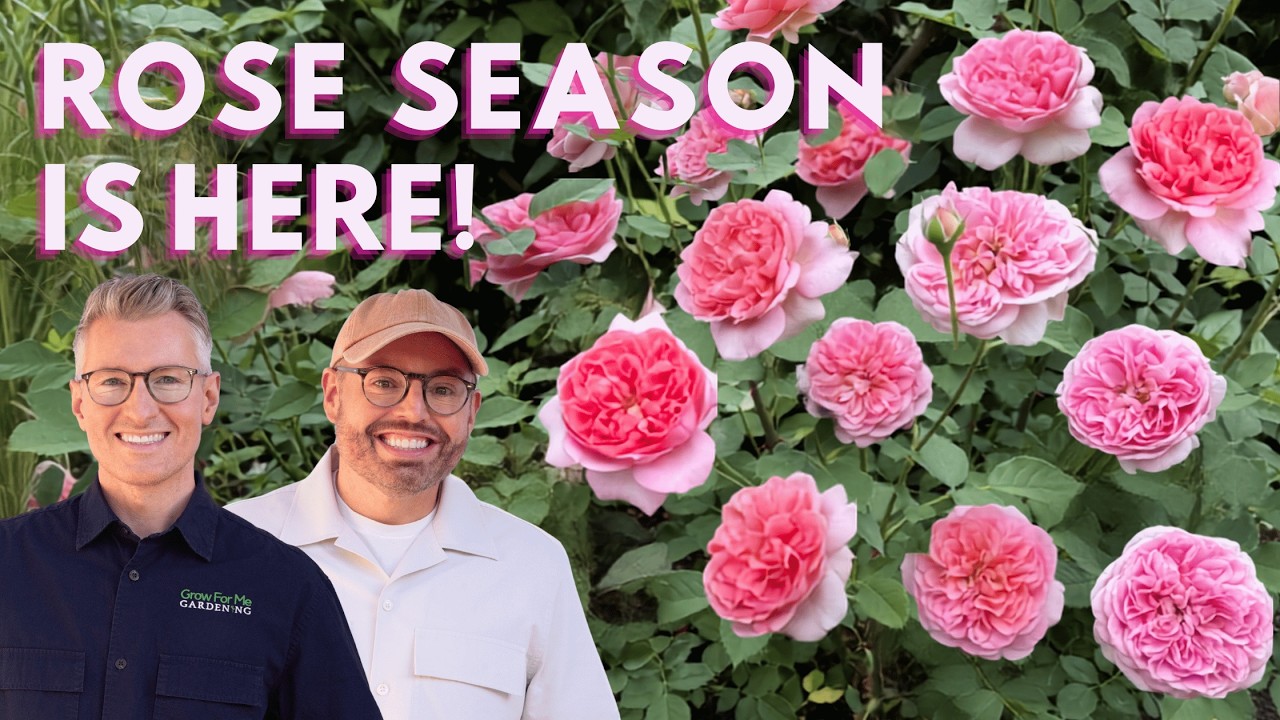 Rose-Garden-Tour