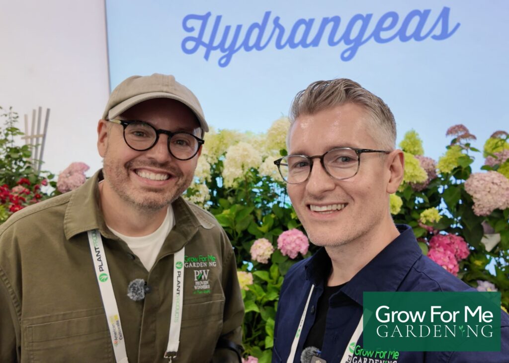 Best New Proven Winners Plants Hydrangea