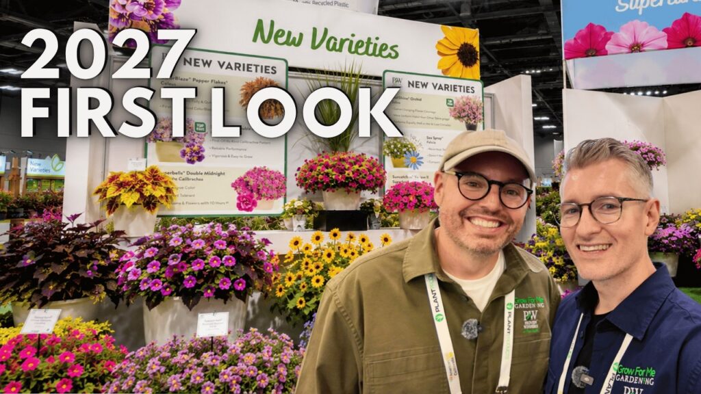 Best New Proven Winners Plants 2027