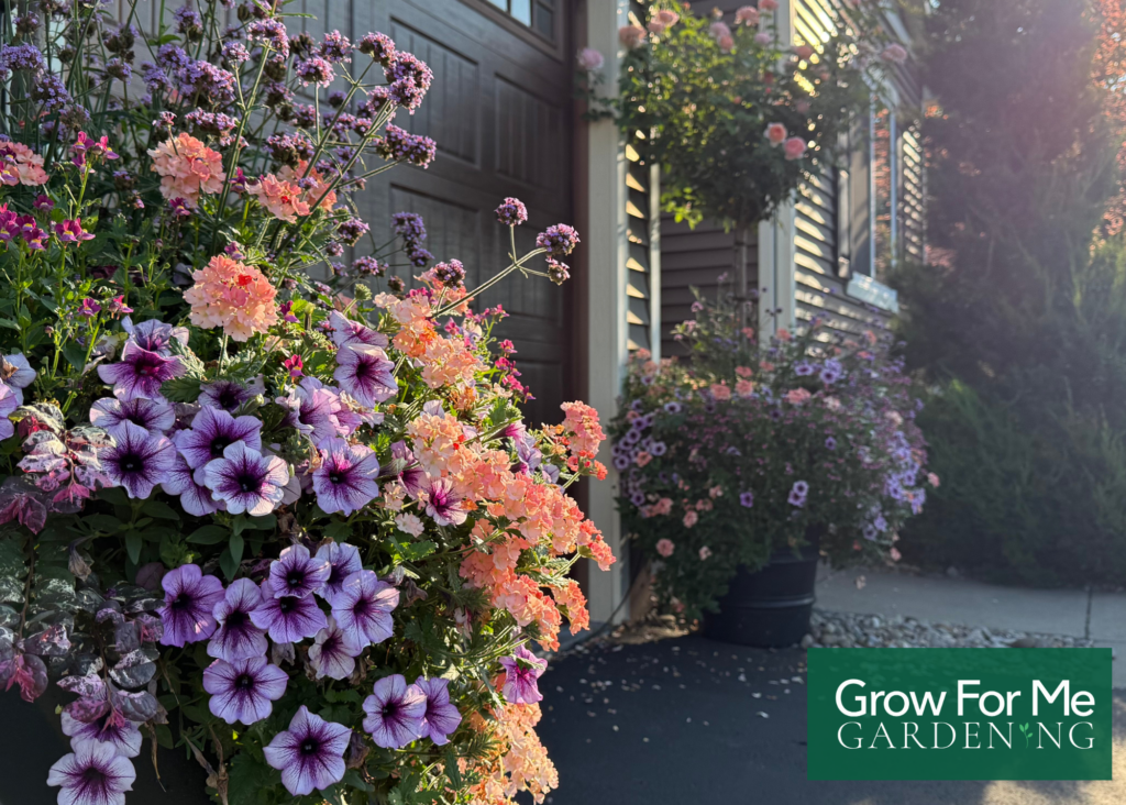 August Garden Planter