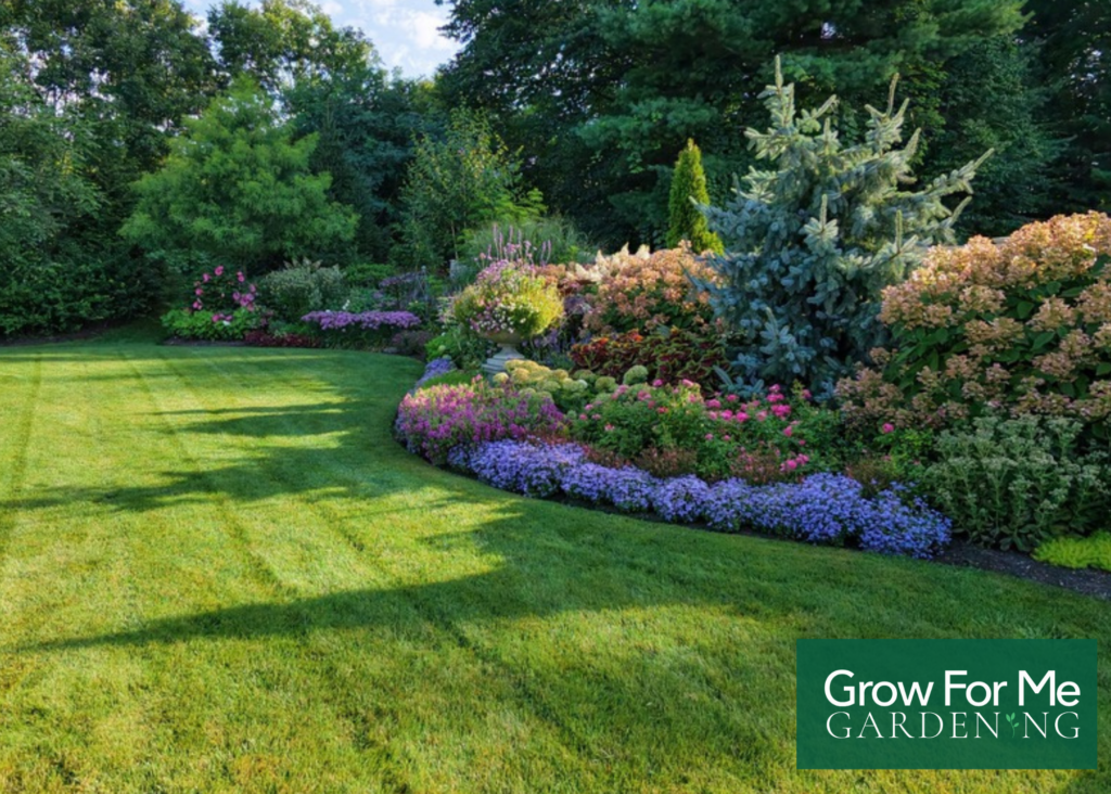 Garden Bed Design