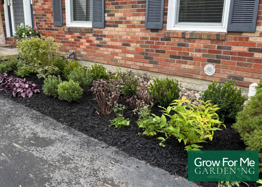 Front Foundation bed
