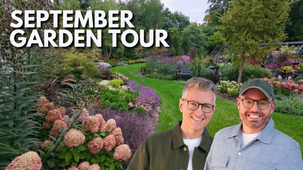 Fall Garden Tour Hydrangeas