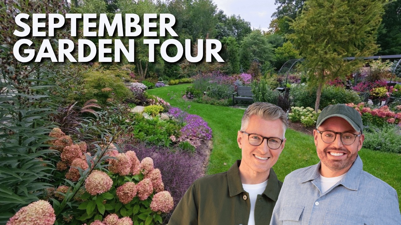Fall Garden Tour Hydrangeas
