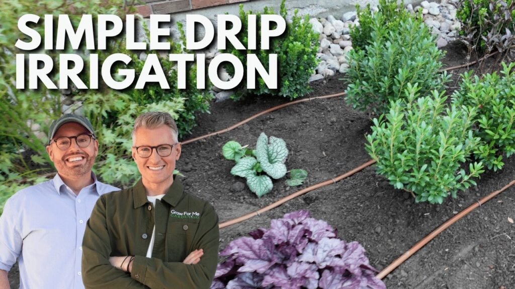 How to Install Drip Irrigation