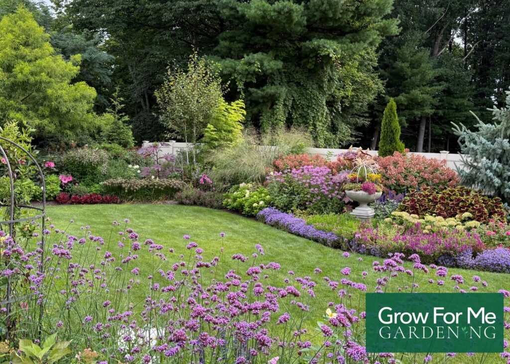 Later Summer Garden Wide Angle Garden Beds