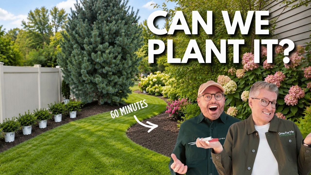 Fall Garden Planting