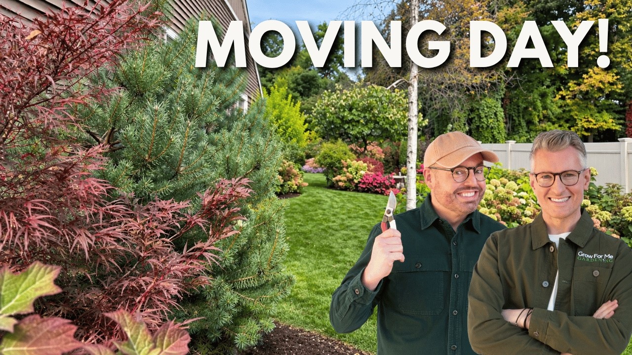 Fall-Transplanting
